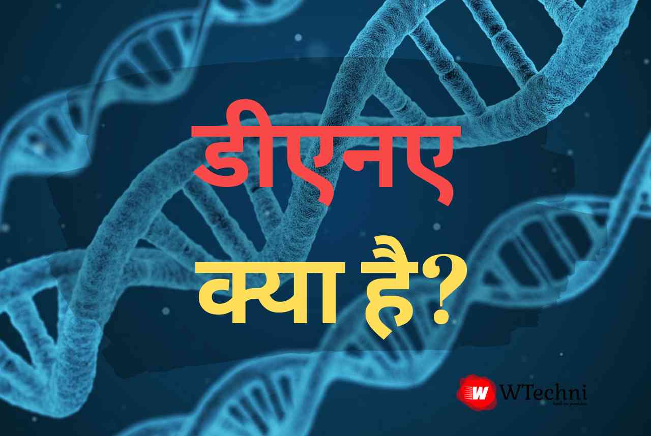 Dna kya hai hindi Dna kya hai hindi