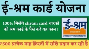 E Shram Card Yojana benefits