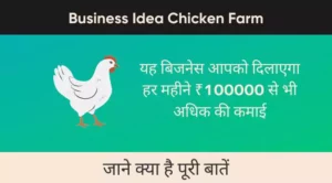 business idea chicken farm