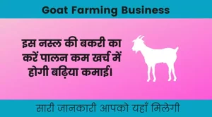 goat farming business 2022