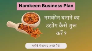 namkeen business plan