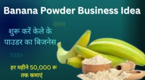 Banana Powder Business Idea