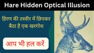 Hare Hidden Optical Illusion