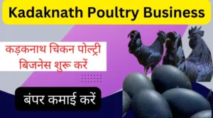 Kadaknath Poultry Business