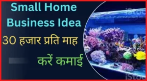 Small Home Business Idea