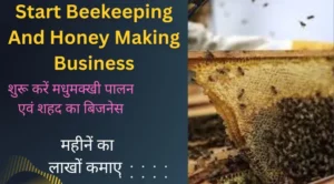 Start Beekeeping And Honey Making Business