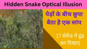 Hidden Snake Optical Illusion