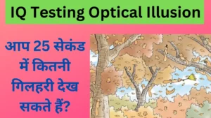 IQ Testing Optical Illusion
